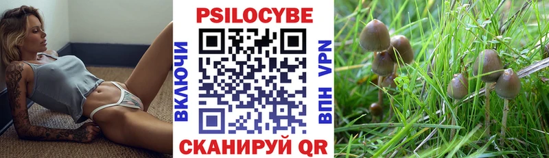 Псилоцибиновые грибы Psilocybe  hydra ссылка  Нелидово 